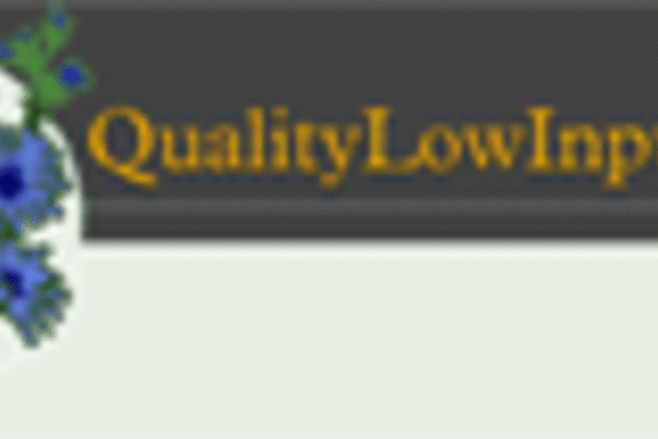 Logo QLIF