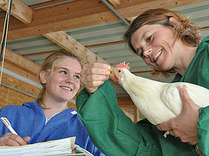 Eine Frau untersucht den Schnabel der Henne. Die andere notiert mit.