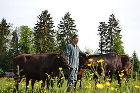 Nils Müller bei seinen Tieren auf der Weide.