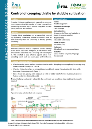 Control of creeping thistle by stubble cultivation