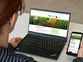 Woman sitting in front of laptop with smartphone in hand. 