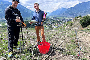 Zwei Männer stehen mit Rebunterlagen auf einem Feld.