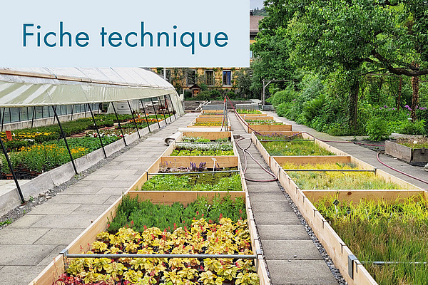 Photo de couverture.