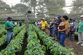 Ein Mann präsentiert einer Gruppe von Frauen und Männern eine Kakao-Pflanzung unter einem Netz in Sapecho. 