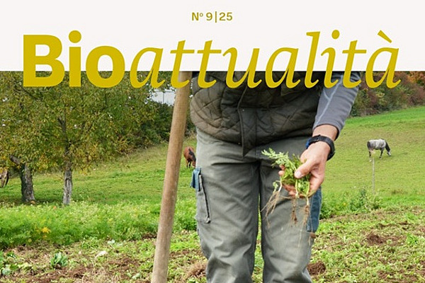 Cover Bioattualità 9/25.