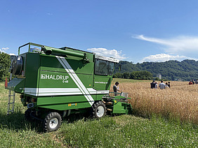 Ein kleinerer Mähdrescher an einem Feld.