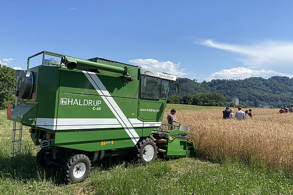 Ein kleinerer Mähdrescher an einem Feld.