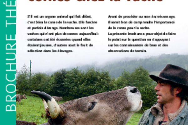 Brochure sur l’importance des cornes chez la vache