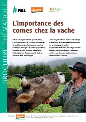 Brochure sur l’importance des cornes chez la vache