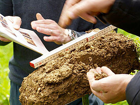 Assessment of the soil layers on a spade