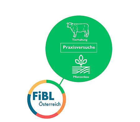 Grafik Praxisversuche