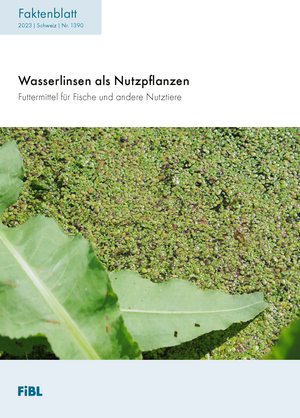 Wasserlinsen als Nutzpflanzen