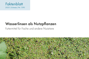 Cover: Wasserlinsen als Nutzpflanzen 