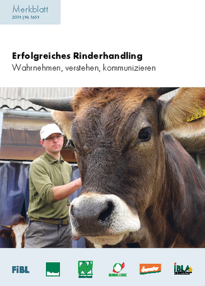 Erfolgreiches Rinderhandling