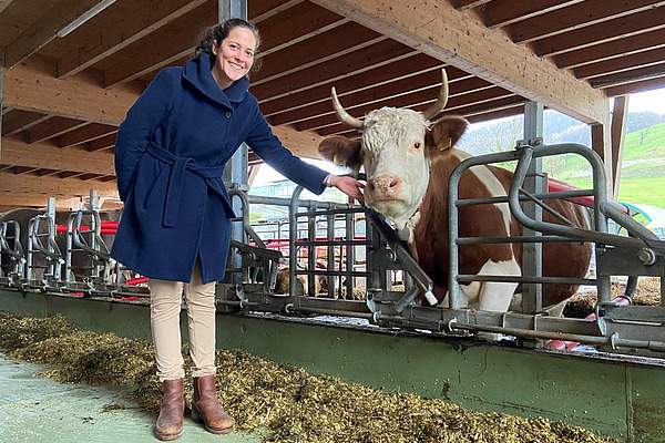Frau im Stall, die eine rot-weiss-gefleckte Kuh im Fressgitter streichelt.