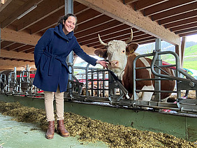 Frau im Stall, die eine rot-weiss-gefleckte Kuh im Fressgitter streichelt.