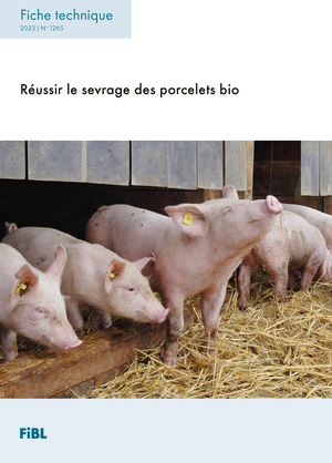 Réussir le sevrage des porcelets bio