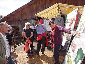 Culture biologique du coton