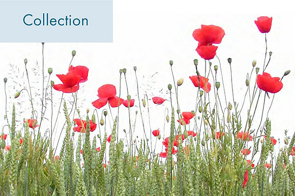 Couverture: connaissances pratiques générales.