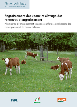 Engraissement des veaux et élevage des remontes d’engraissement