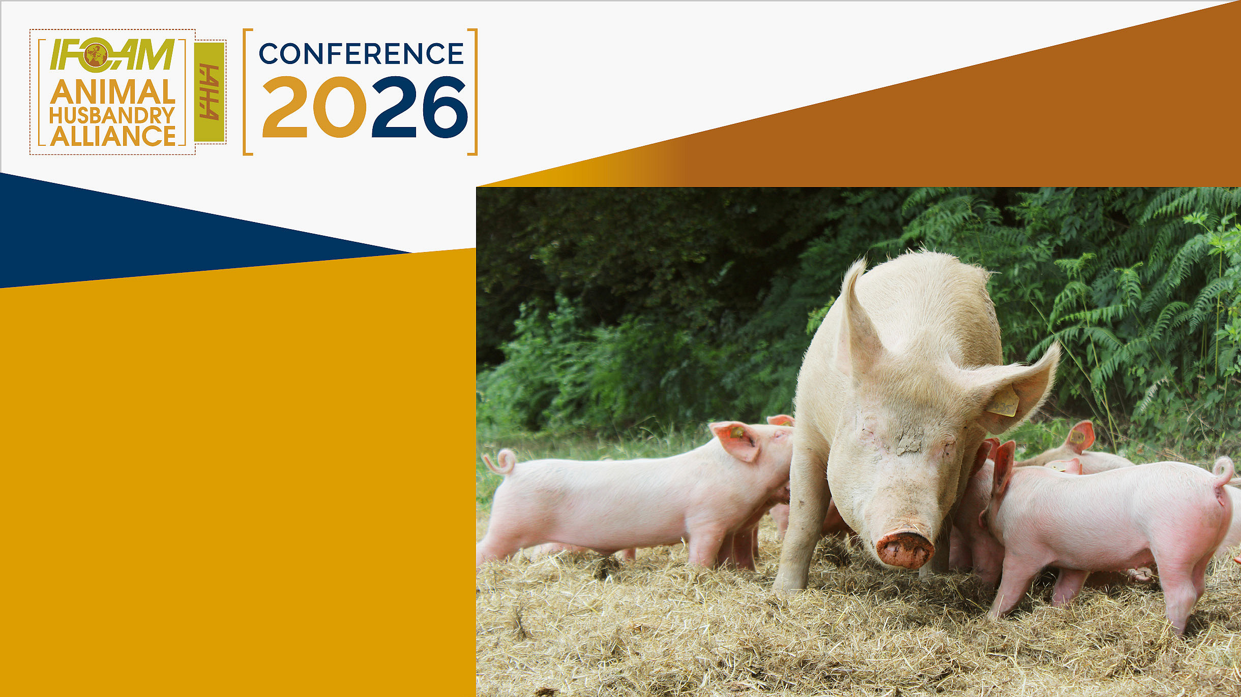 Logo IAHA 2026, rechts im Bild Muttersau mit Ferkeln.