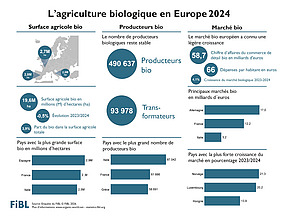 Infographie sur l'agriculture biologique en Europe en 2024.