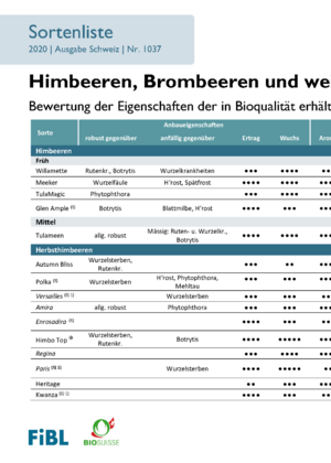 Sortenempfehlung Himbeeren, Brombeeren und weitere Rubusarten