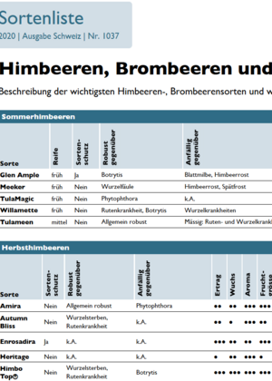 Sortenliste Himbeeren, Brombeeren und weitere Rubusarten