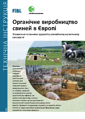 Органічне виробництво свиней в Європі