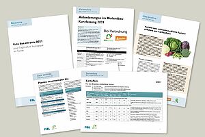 Coder verschiedener Publikationen