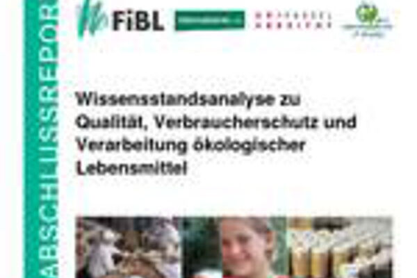 Titelblatt des Reports "Wissensstandsanalyse"