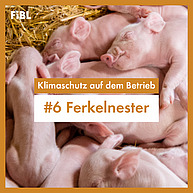 Ferkel liegen im Stroh eng beieinander. Auf einem orangenen Banner in der Mitte steht "Klimaschutz auf dem Betrieb: #6 Ferkelnester"