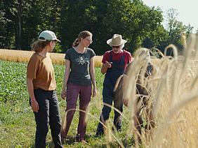 Quatre personnes dans un champ de céréales.