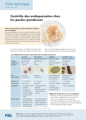 Contrôle des endoparasites chez les poules pondeuses