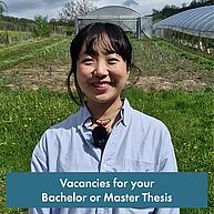 Eine junge, asiatische Frau lächelt freundlich in die Kamera. Sie trägt eine hellblaue Bluse. Im Hintergrund sind Gewächshäuser. Text: "Vacancies for your Bachelor or Master thesis"