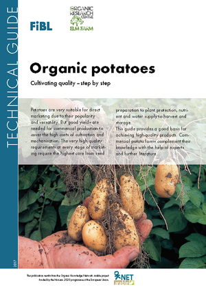 Organic potatoes