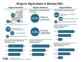Infographic on organic agriculture 2021 in Europe