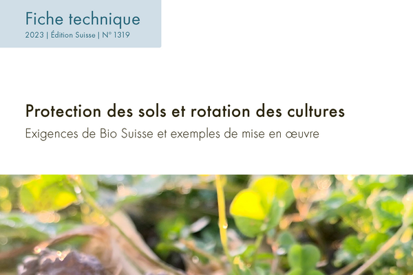 Cover : Protection des sols et rotation des cultures