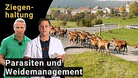 Zwei Männer im Vordergrund mit Ziegen im Hintergrund.