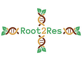 Logo Root2Res