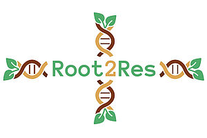 Logo Root2Res