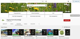 Screenshot of the YouTube page
