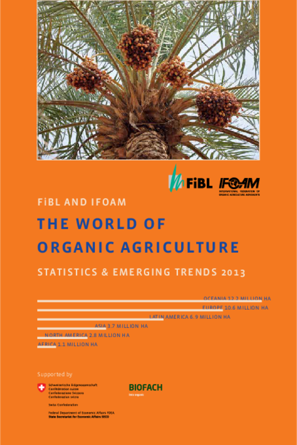 Cover Ausgabe 2013