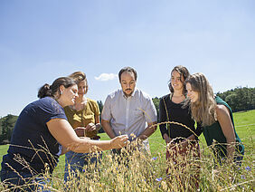 Menschen auf einem Feld