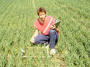 Le jeune Hansueli Dierauer dans un champ de céréales lors de la collecte de données.