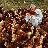 Eine Frau hockt inmitten von vielen Hühnern. Sie lacht übers ganze Gesicht, hat ein Huhn in der Hand und trägt einen weissen Kleiderüberzug und eine weisse Kopfhaube.