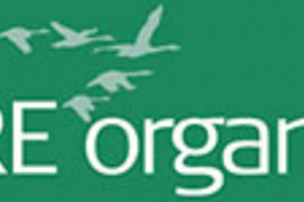 Logo CORE organic II