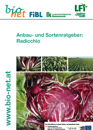 Anbau- und Sortenratgeber Radicchio