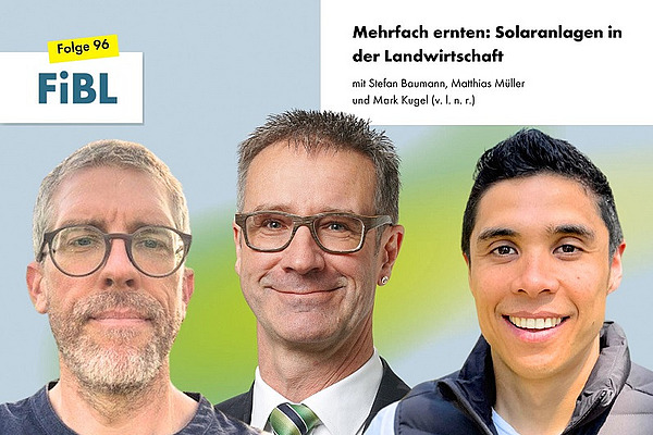 Drei Männer.