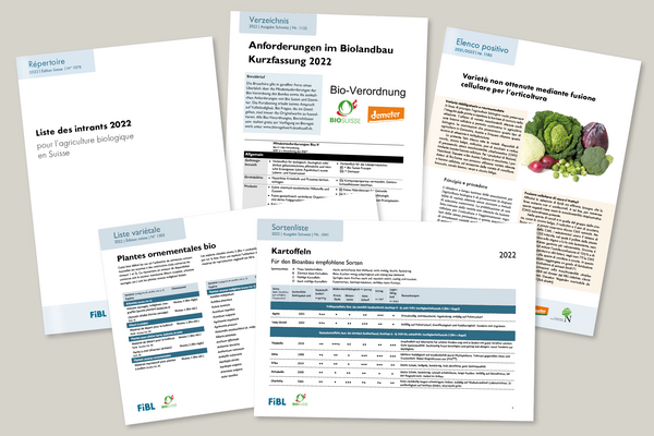 Fünf Cover verschiedener Publikationen in unterschiedlichen Sprachen